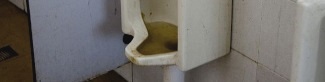 Waukesha Clogged Urinal
