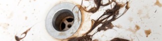 Waukesha Clogged Sink